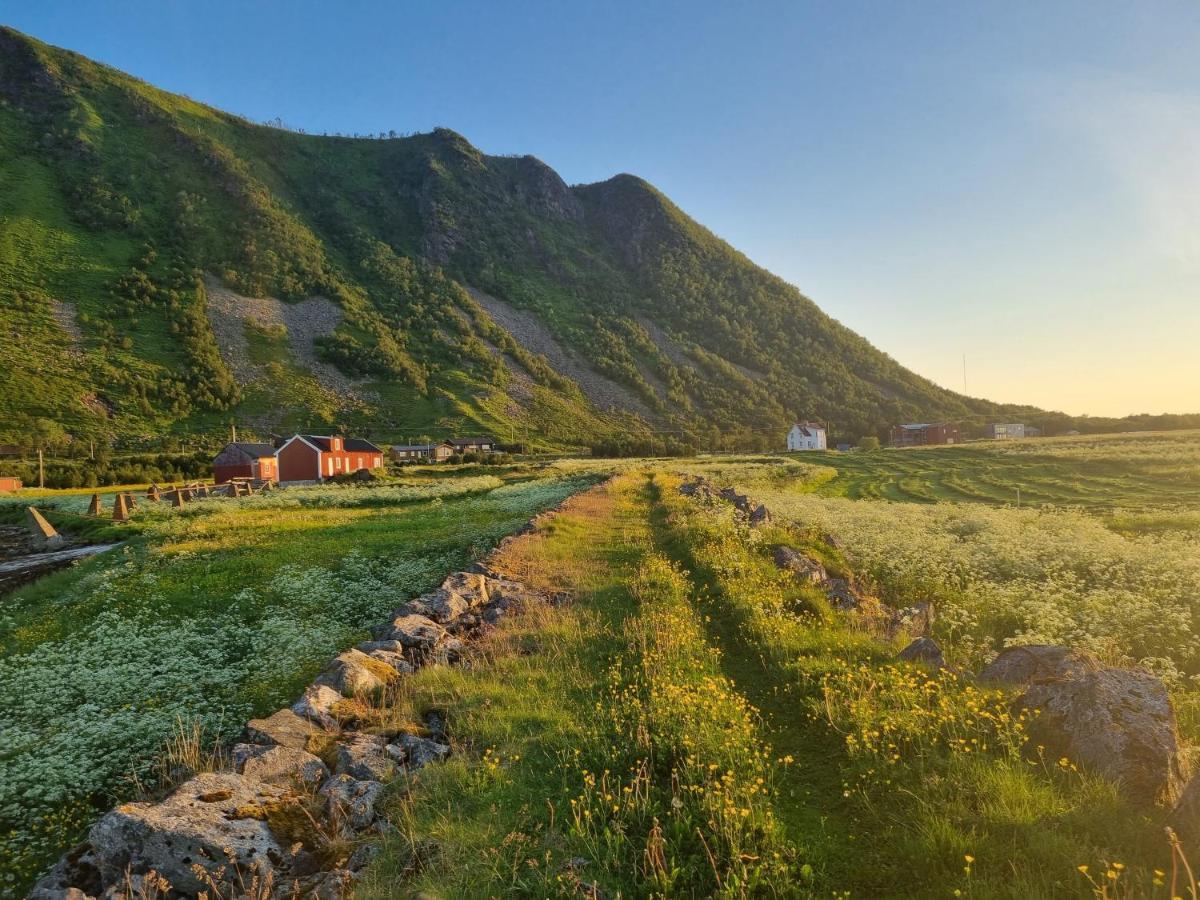 Villa Walter Lofoten With Sauna Kvalnes  Exterior photo